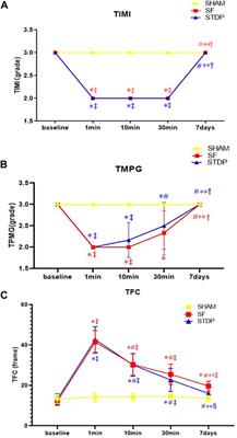 Efficacy of Shexiang Tongxin Dropping Pills in a Swine Model of Coronary Slow Flow